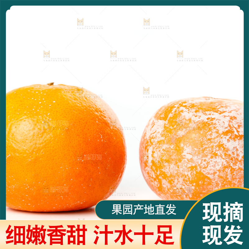 白底上的茂谷柑