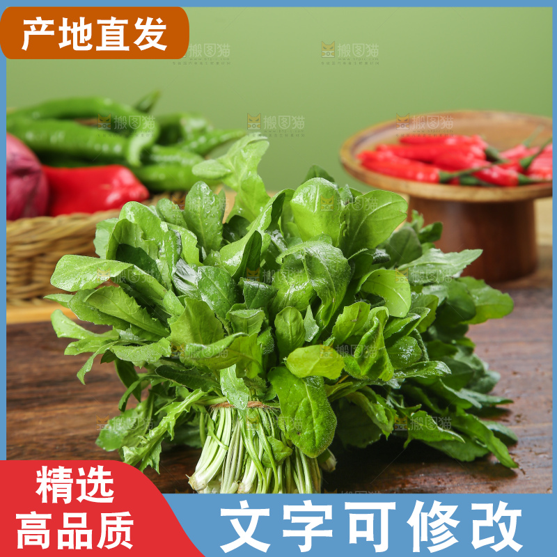 木底上的地菜