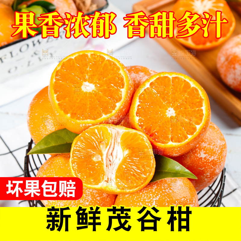 浅底上的茂谷柑