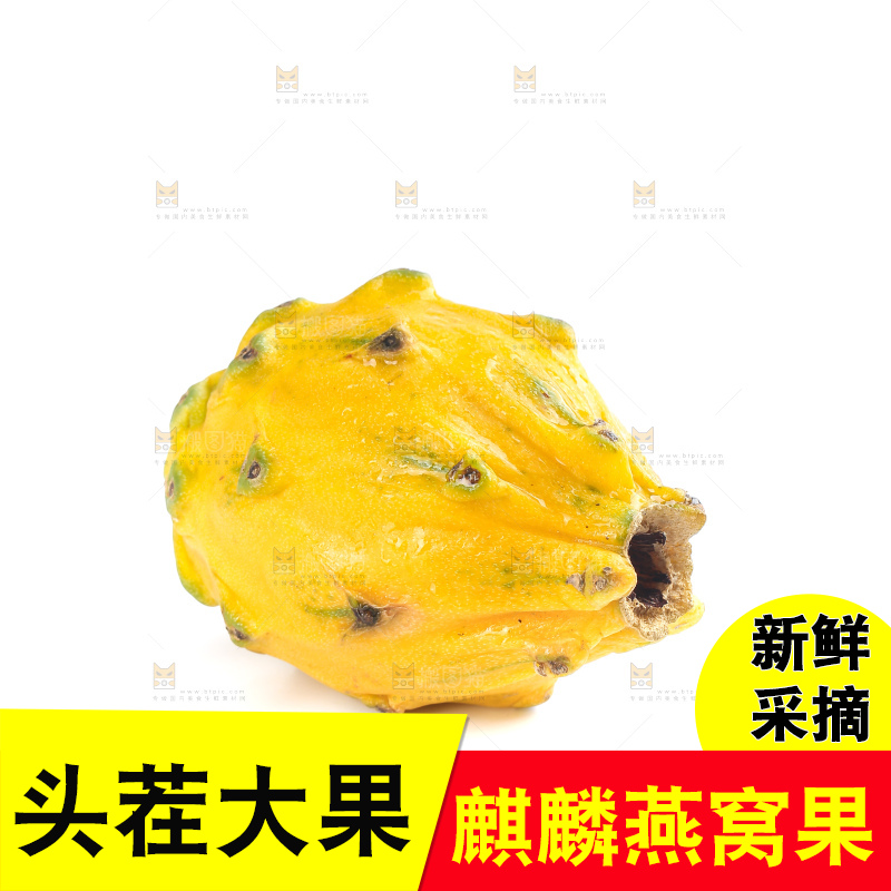 白底上的燕窝果
