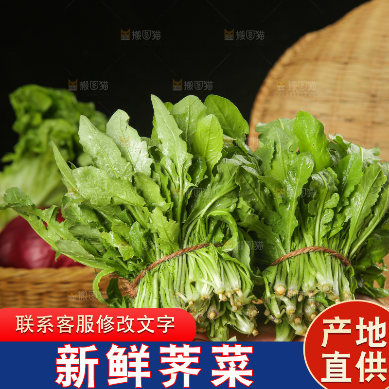 木底上的地菜