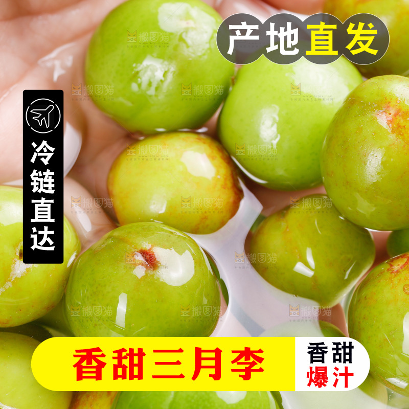 浅底上的三月李