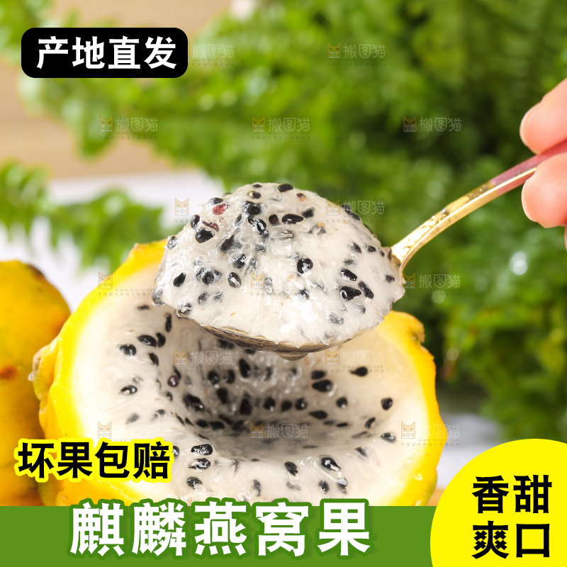 浅底上的燕窝果