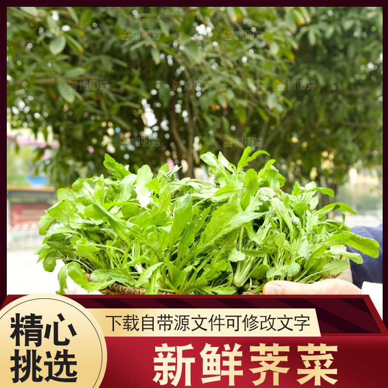 手里拿着地菜
