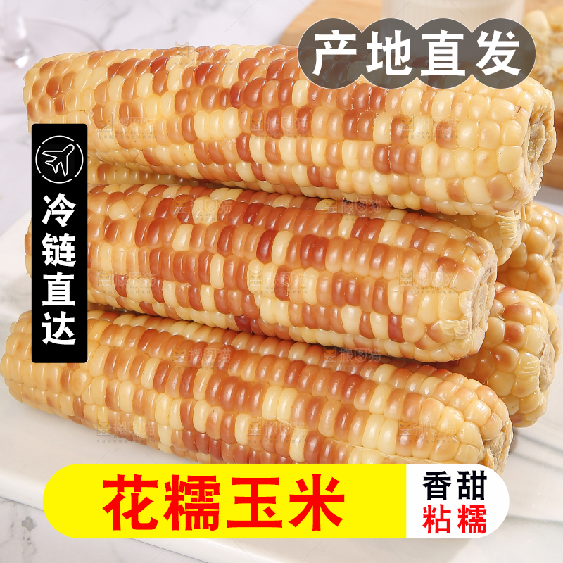浅底上的花糯小玉米
