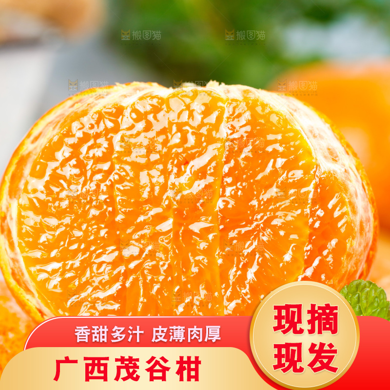 浅底上的茂谷柑