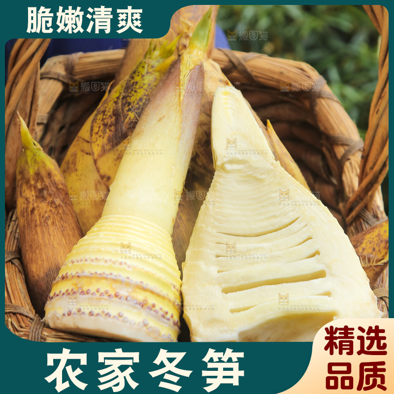 手里拿着冬笋