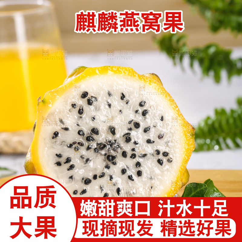 浅底上的燕窝果