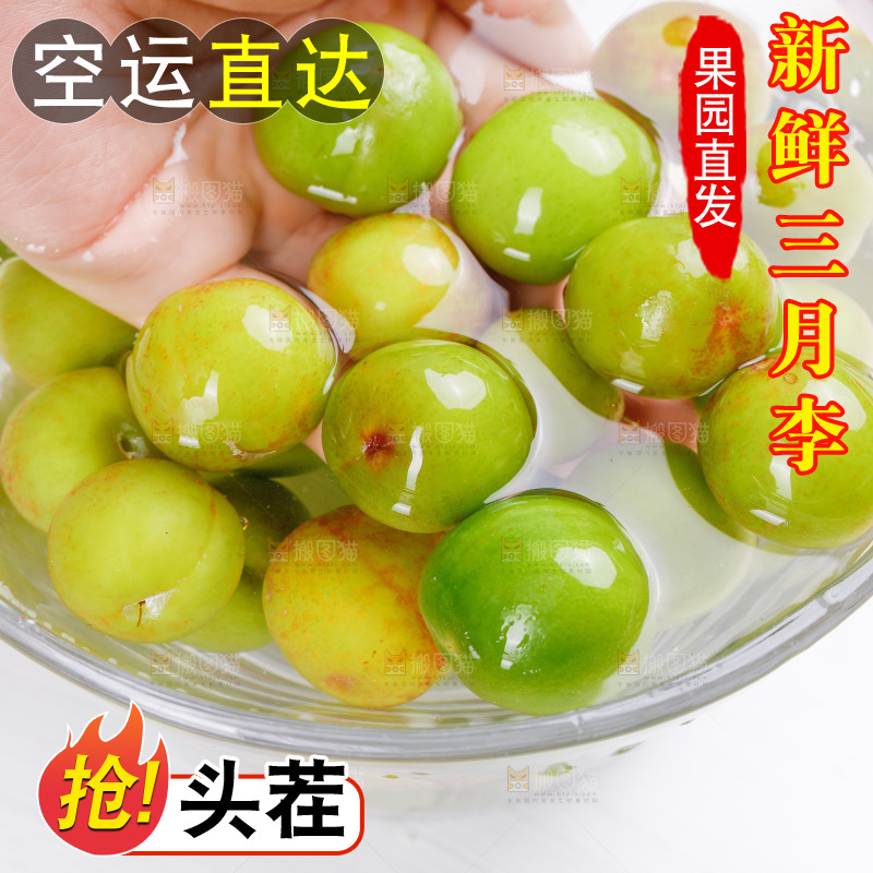 浅底上的三月李