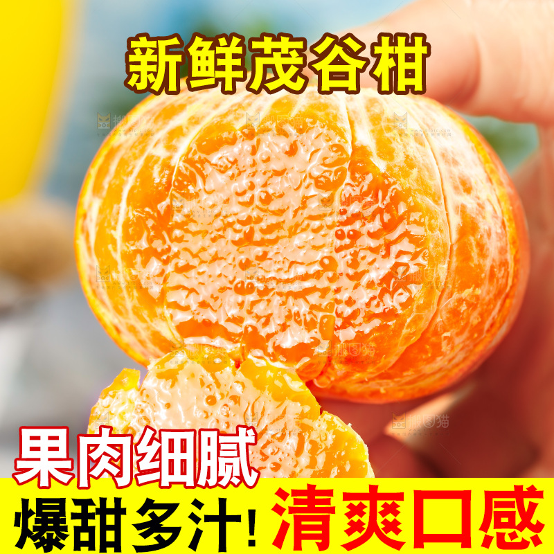 浅底上的茂谷柑