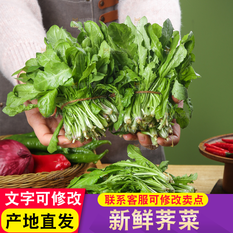 木底上的地菜