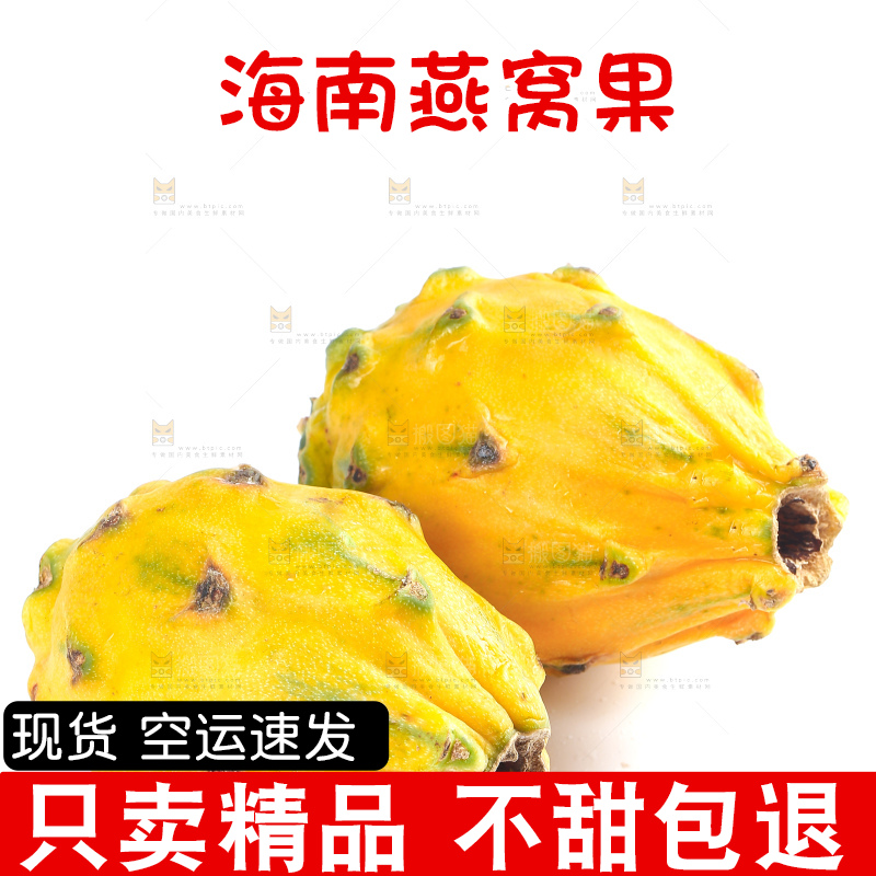 白底上的燕窝果