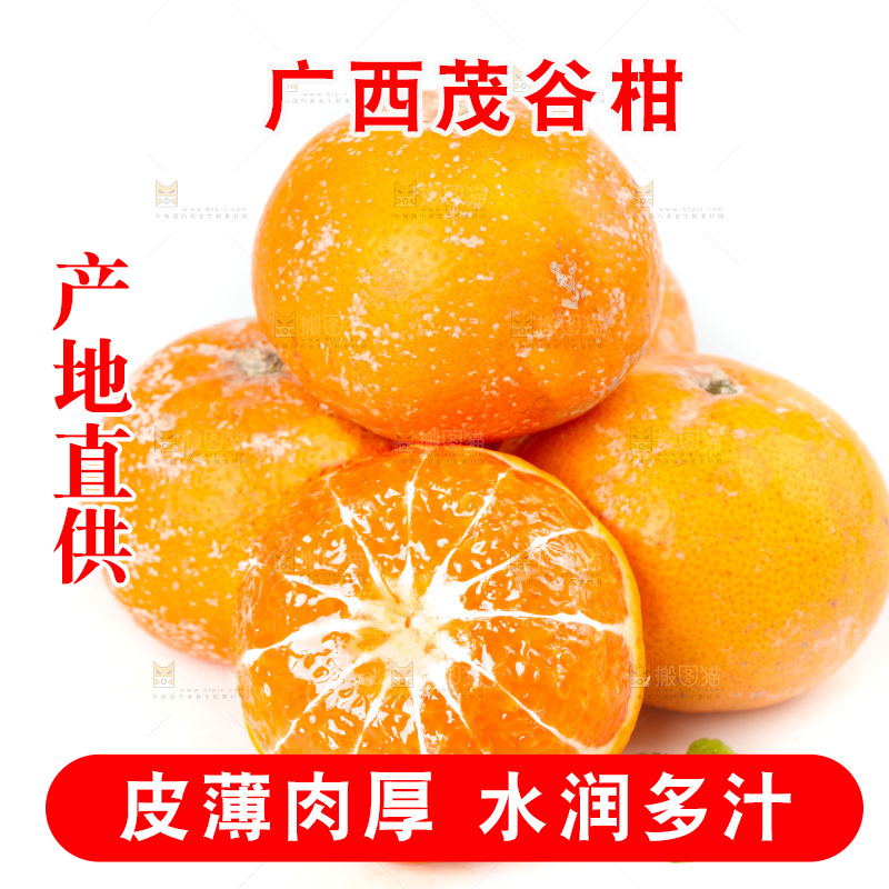 白底上的茂谷柑
