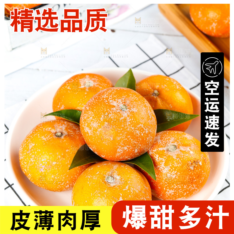 浅底上的茂谷柑