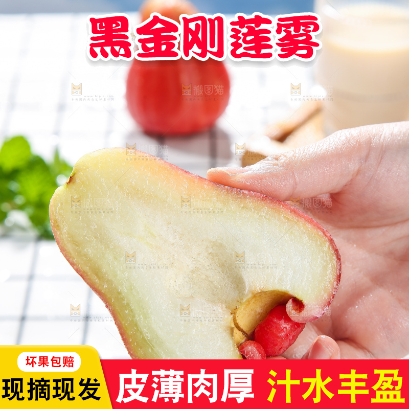 浅底上的莲雾