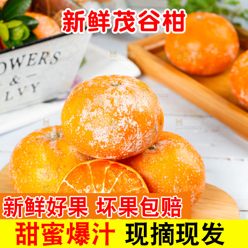 浅底上的茂谷柑
