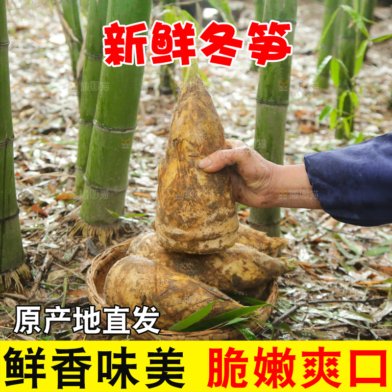 手里拿着冬笋
