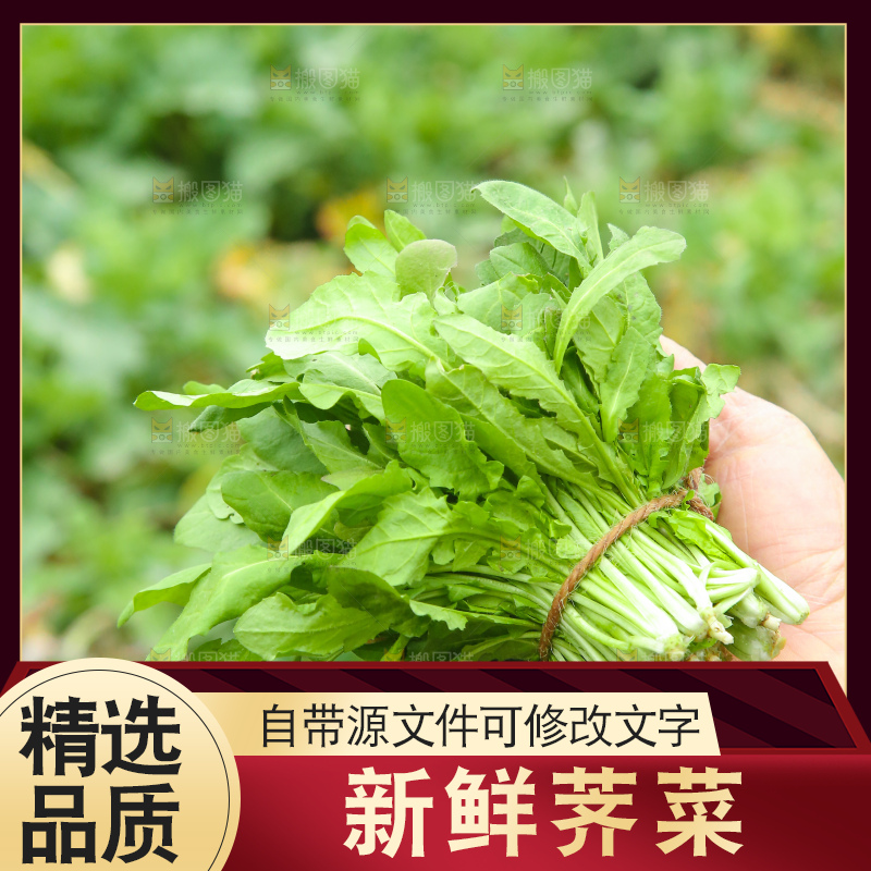 手里拿着地菜