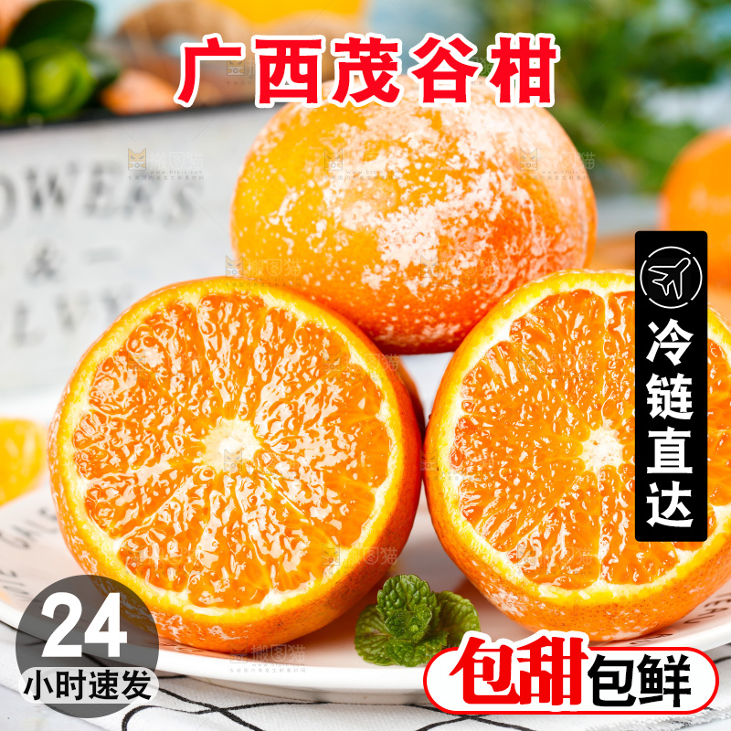 浅底上的茂谷柑