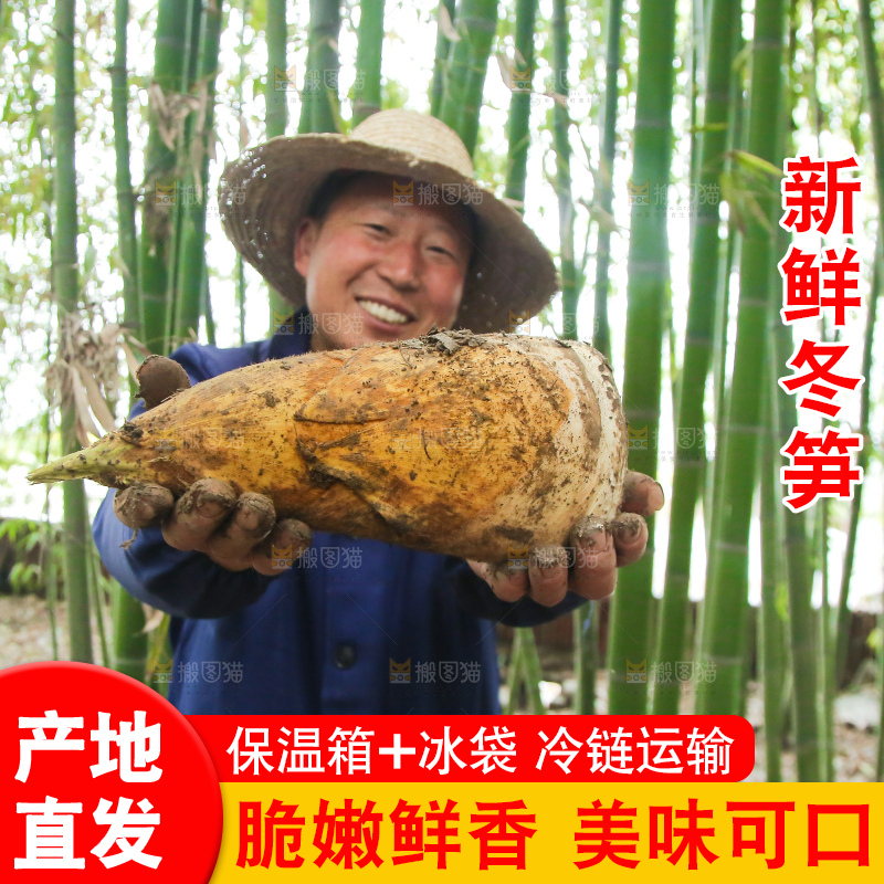 手里拿着冬笋