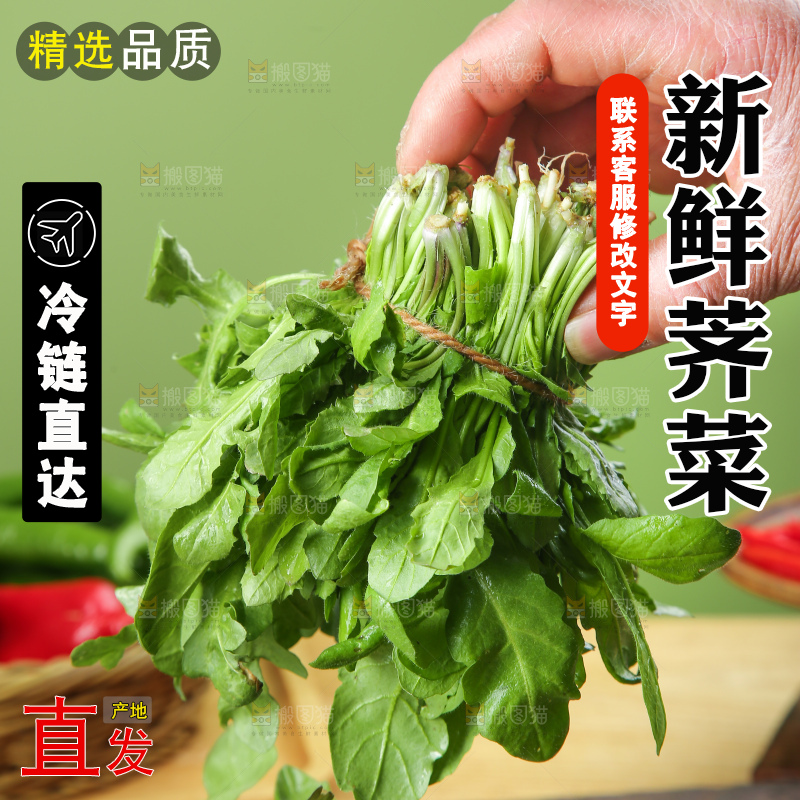 木底上的地菜
