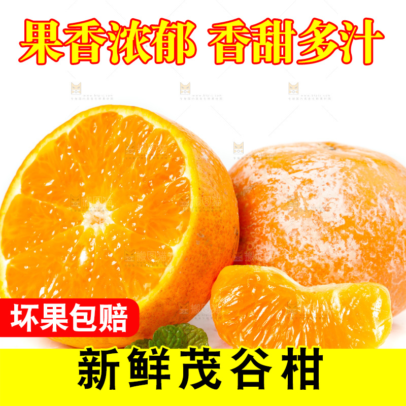 白底上的茂谷柑