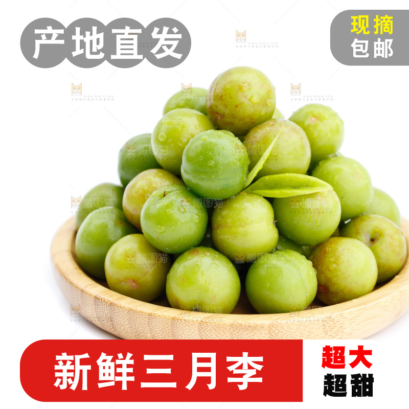 白底上的三月李