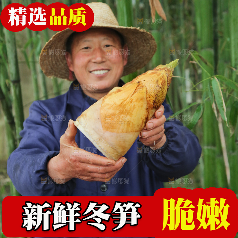 手里拿着冬笋