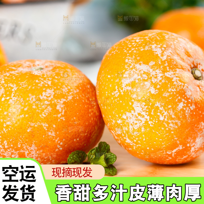 浅底上的茂谷柑