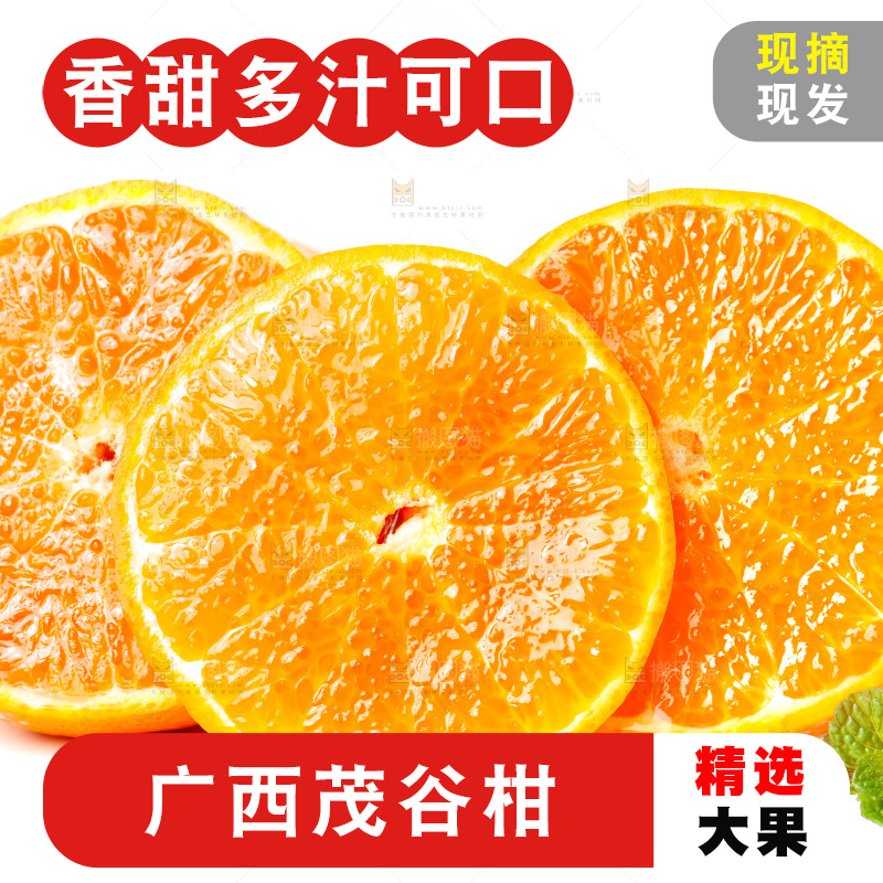 白底上的茂谷柑