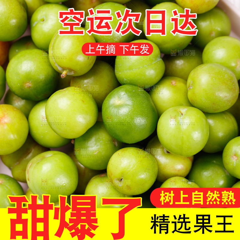 浅底上的三月李