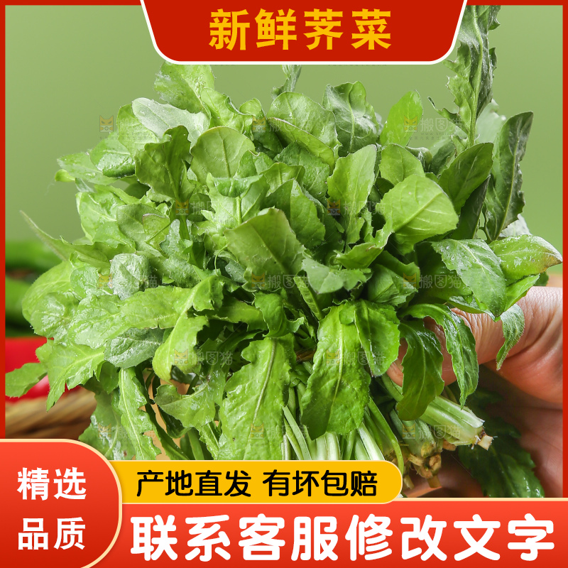 木底上的地菜