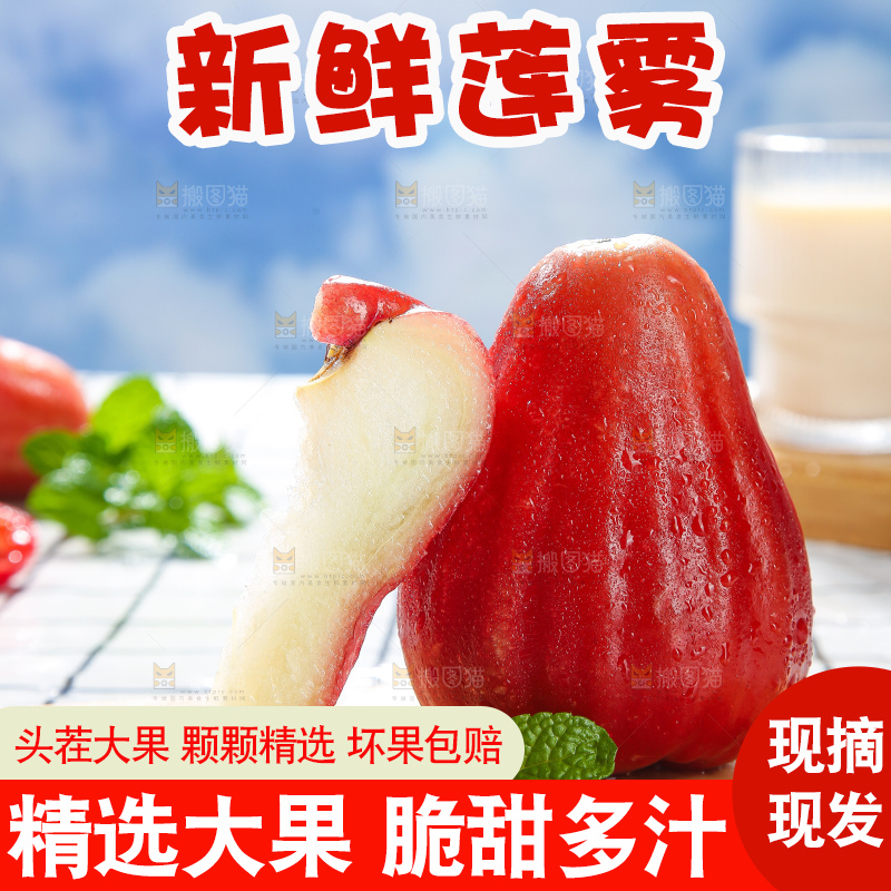 浅底上的莲雾