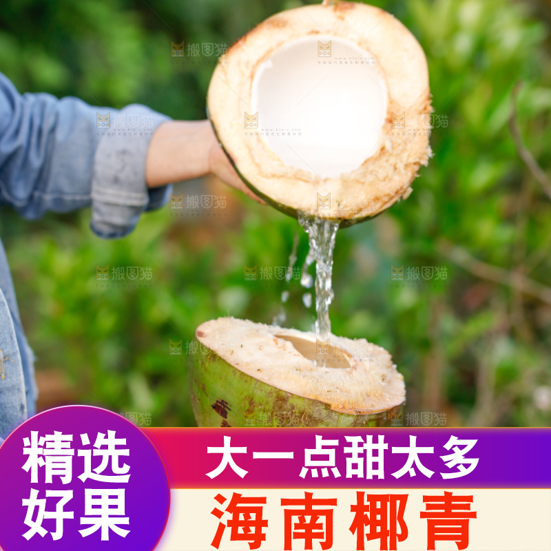 手里拿着椰青