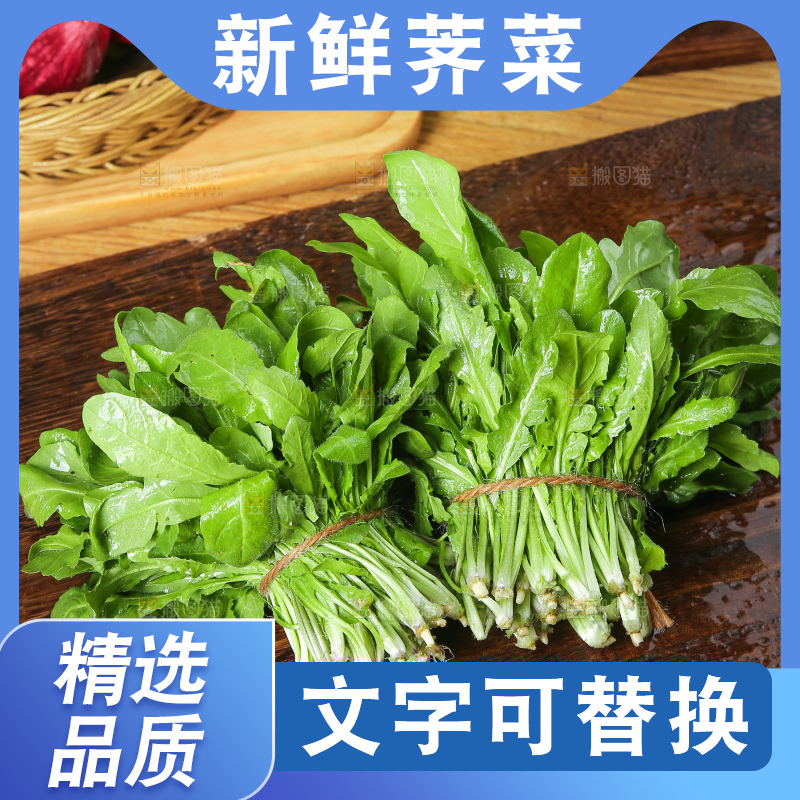 木底上的地菜