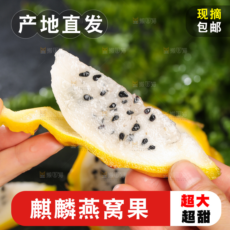深底上的燕窝果