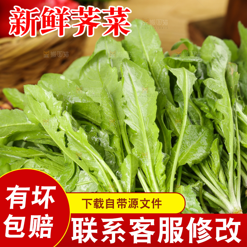 木底上的地菜