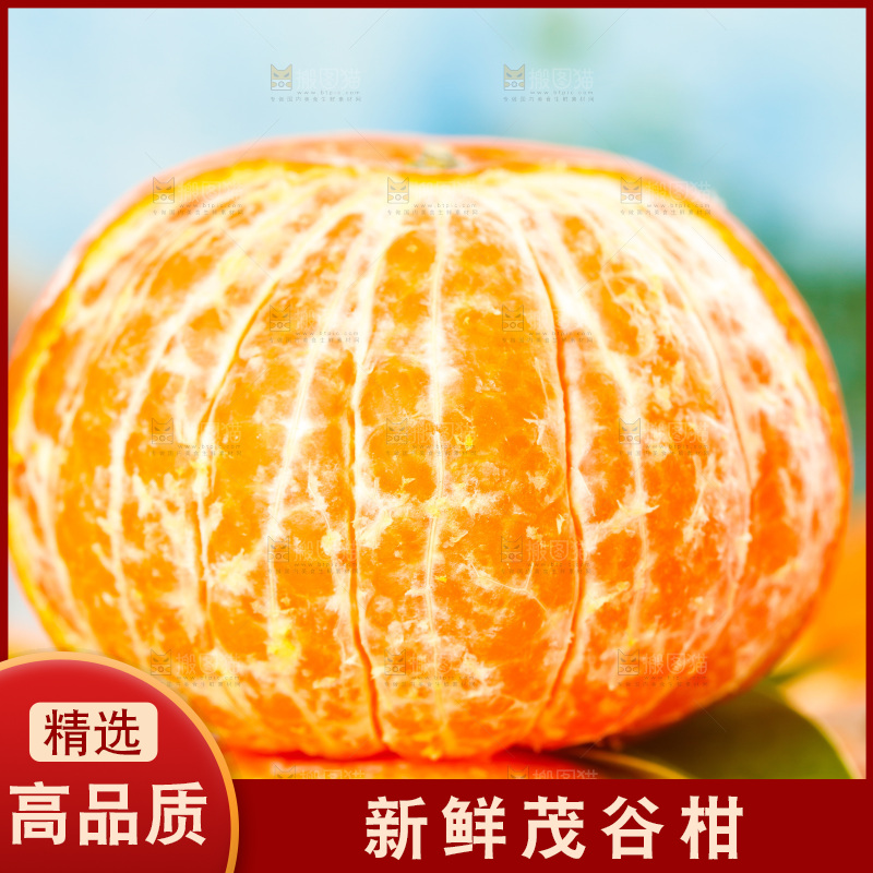 浅底上的茂谷柑
