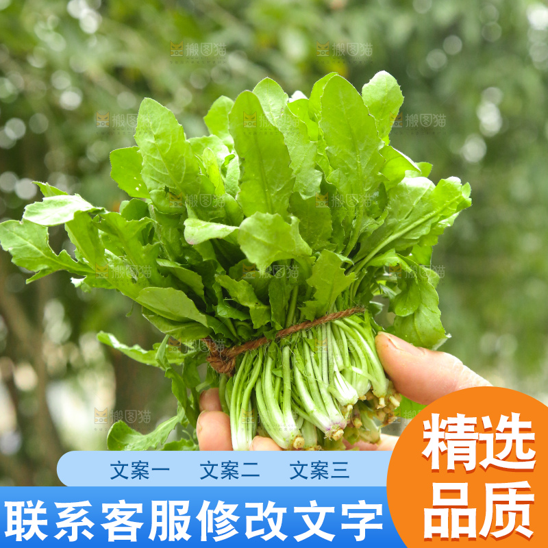 手里拿着地菜