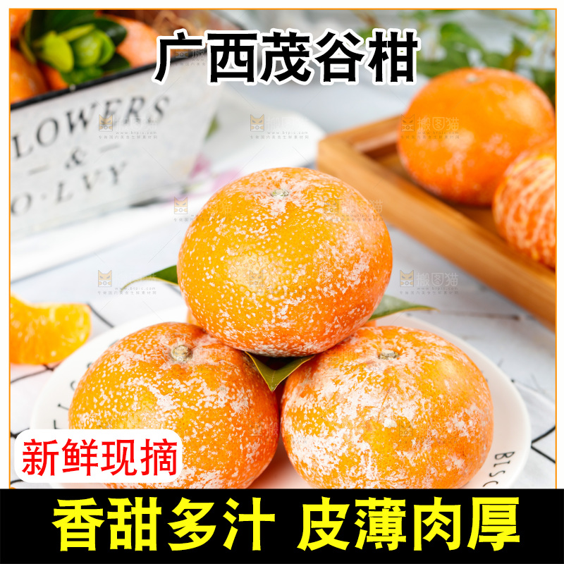 浅底上的茂谷柑