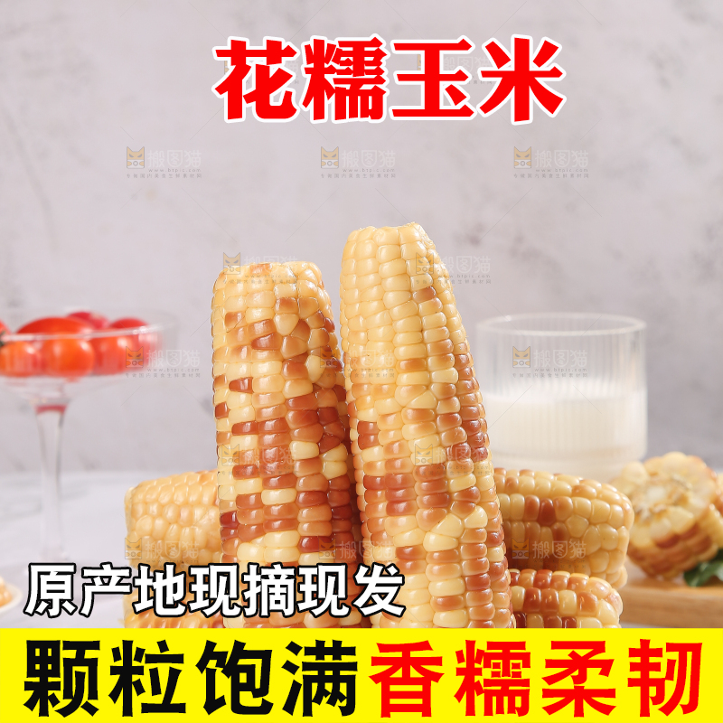 浅底上的花糯小玉米