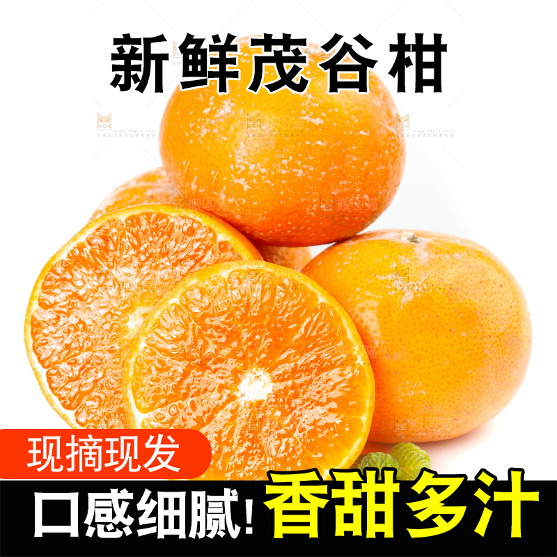 白底上的茂谷柑