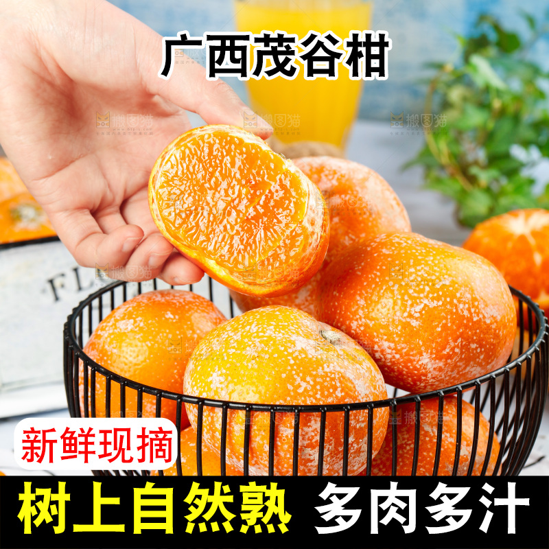 浅底上的茂谷柑