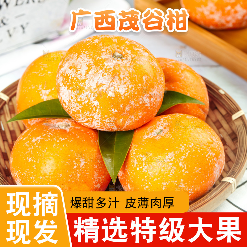 浅底上的茂谷柑