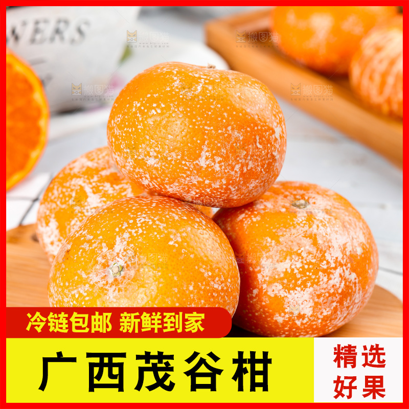浅底上的茂谷柑