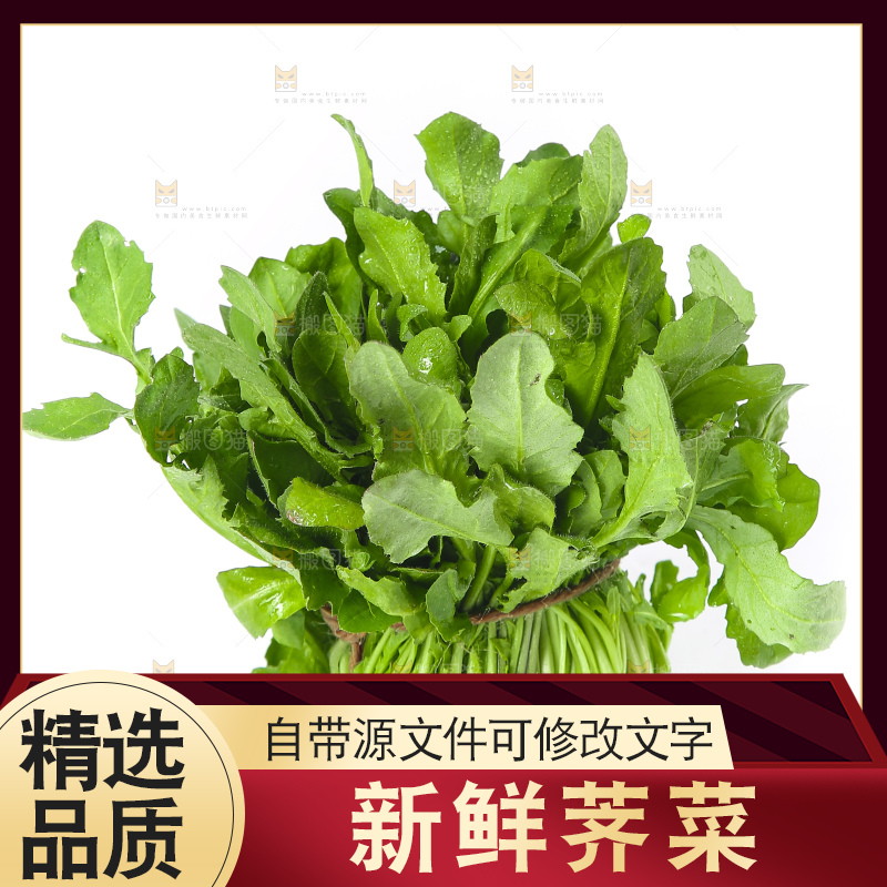 白底上的荠菜