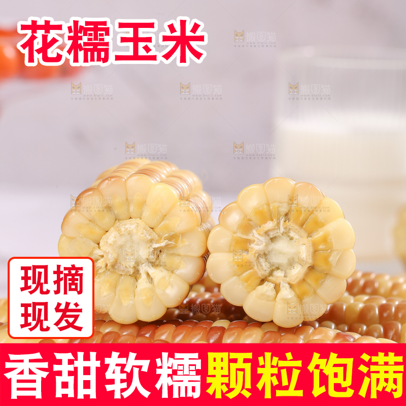 浅底上的花糯小玉米