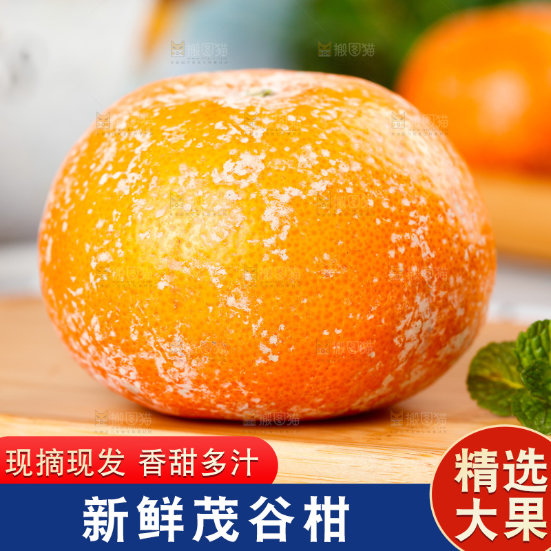 浅底上的茂谷柑