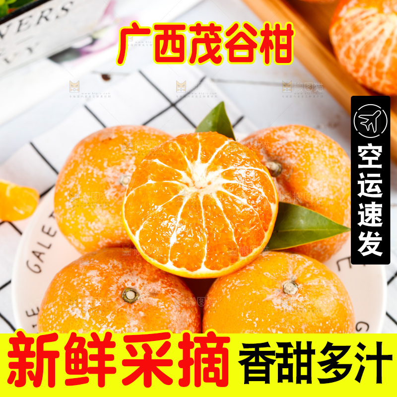 浅底上的茂谷柑