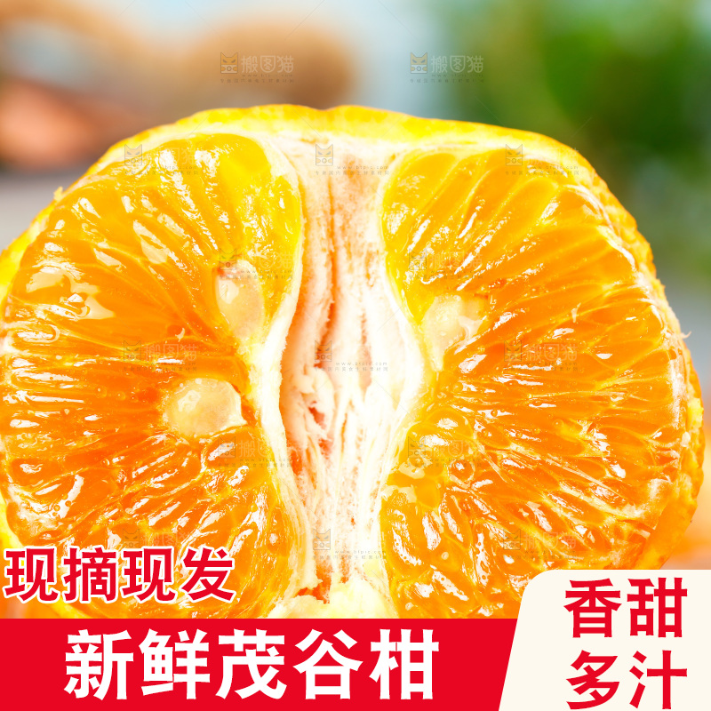 浅底上的茂谷柑
